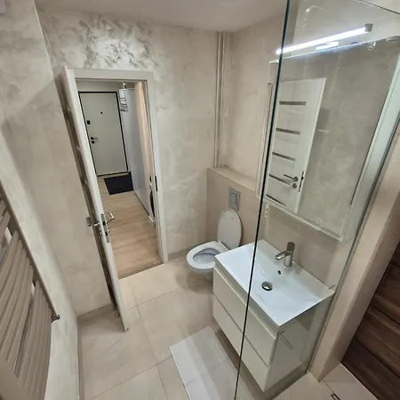 Apartment Diana Premium Craiova